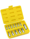 13PC MM HEX SOCKET BIT SET